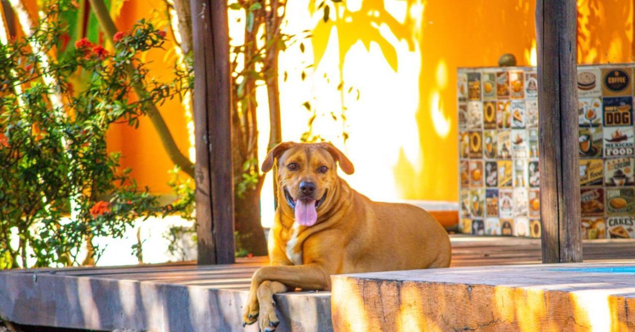 Oxe Uai Hostel Porto Seguro Luaran gambar