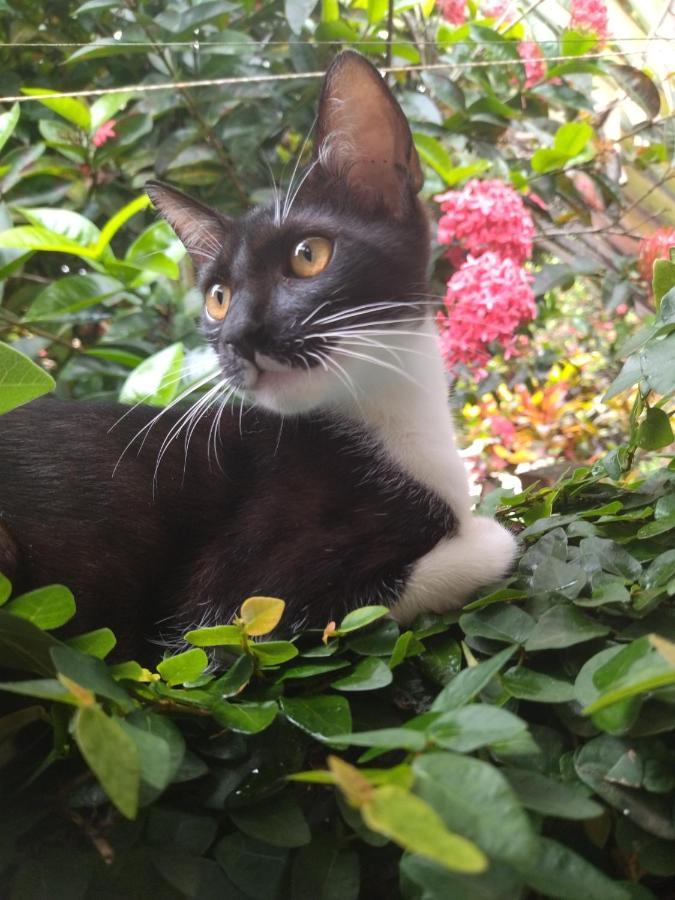 Oxe Uai Hostel Porto Seguro Luaran gambar