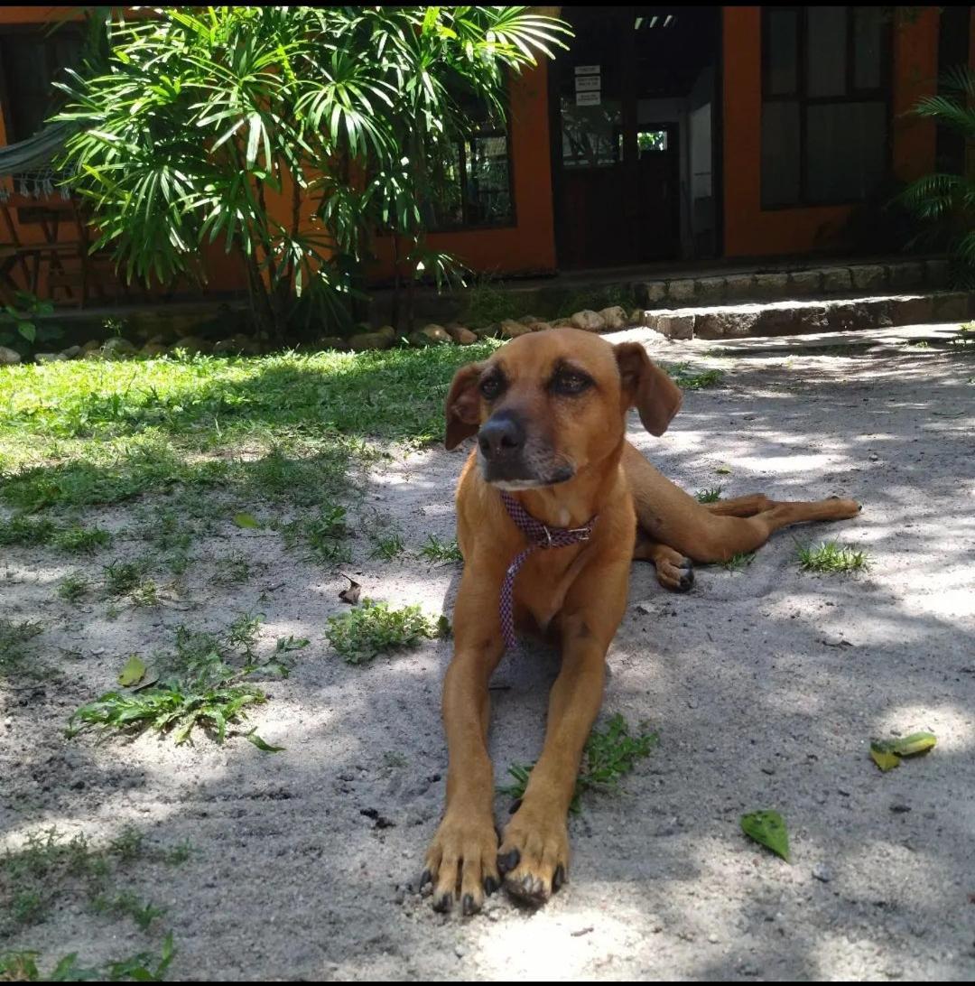 Oxe Uai Hostel Porto Seguro Luaran gambar